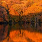15 интересных фактов про осень