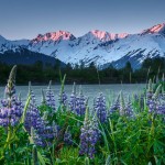 15 интересных фактов об Аляске
