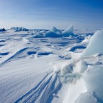 17 интересных фактов о Северном полюсе