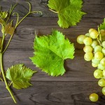 20 интересных фактов о винограде
