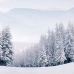19 интересных фактов о снеге