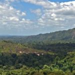 16 интересных фактов о Суринаме