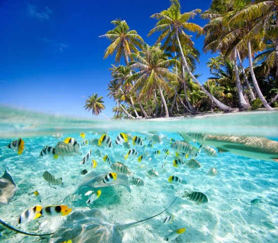 факты о Сейшельских островах