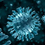 Интересные факты о вирусах