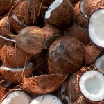 Интересные факты о кокосах
