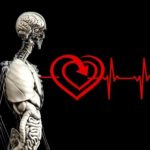 30 интересных фактов о сердце человека