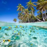 18 интересных фактов о Сейшельских островах
