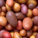 15 интересных фактов о картофеле