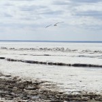 12 интересных фактов о Белом море